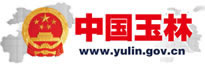 玉林政府网